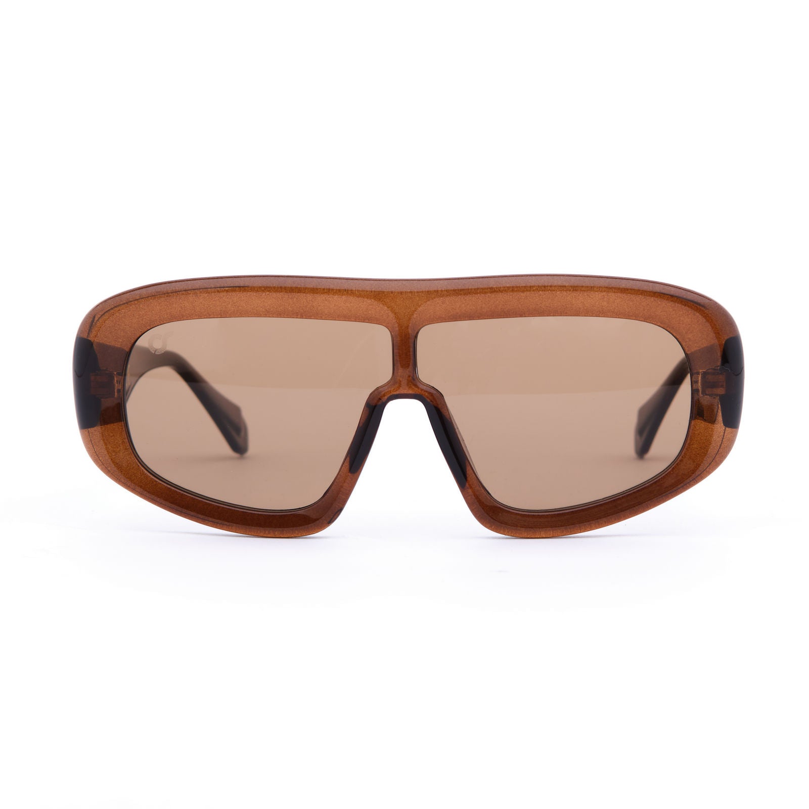 Oversize-frame Sunglasses