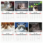 2026 Pissed-Off Cats Calendar