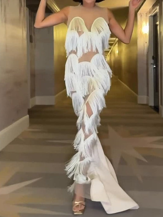 Fringe Trim Lace Overlay Dress