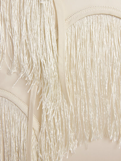 Fringe Trim Lace Overlay Dress