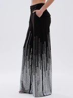 Sequined Sparkle Shine Blouse & Rhinestones Pants