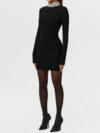 Jewel Necklace Turtleneck Long Sleeve Mini Dress
